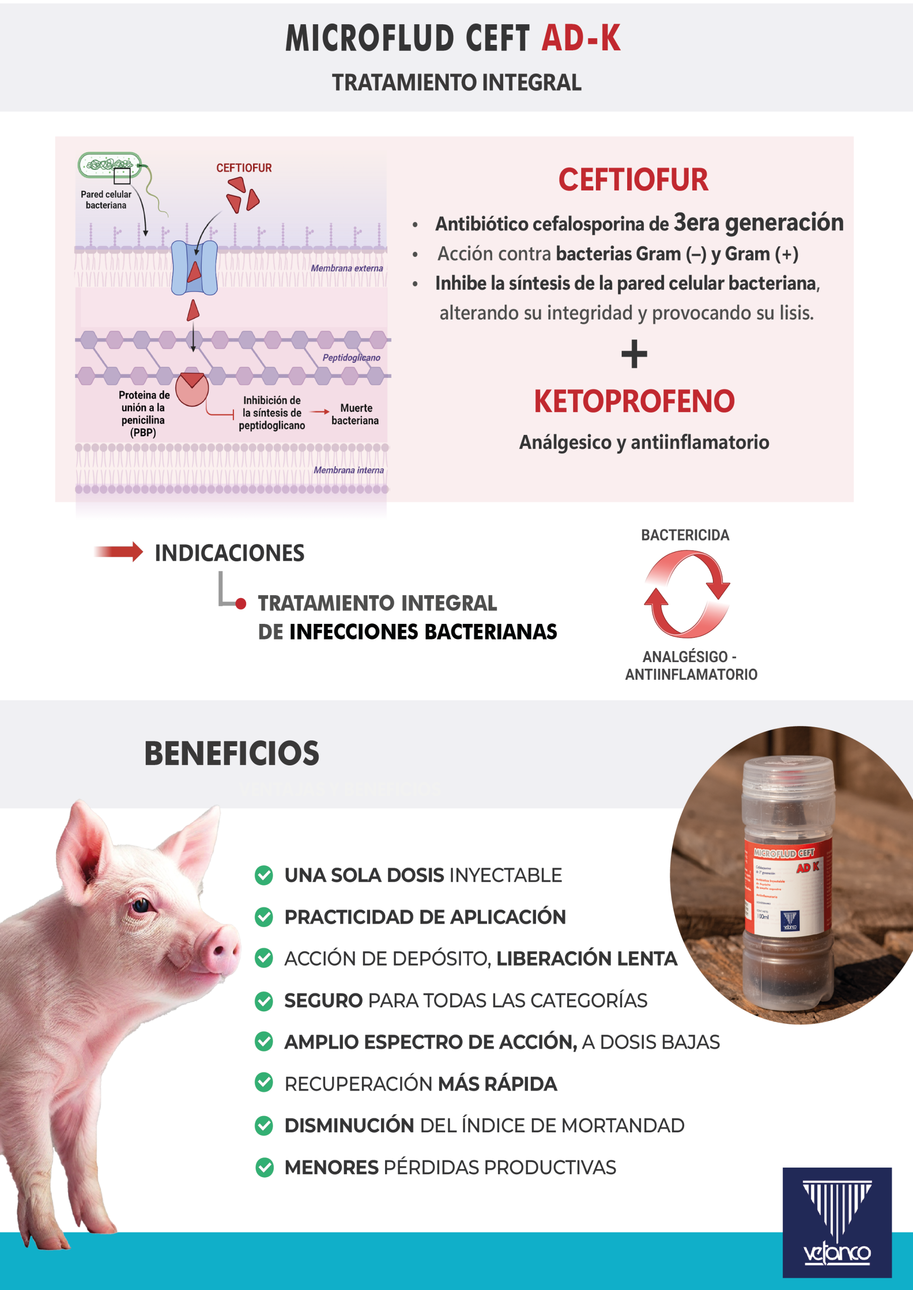 [VETANCO] Microflud Ceft AD K: una solución eficaz para enfermedades ...